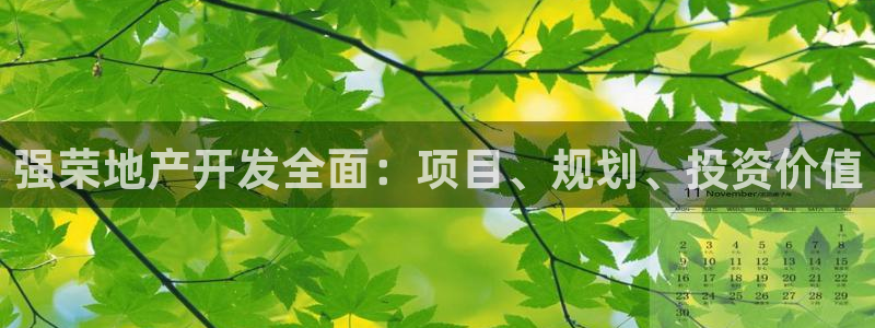 永利玩法