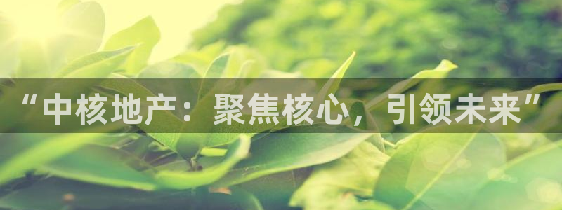 永利金控控股有限公司