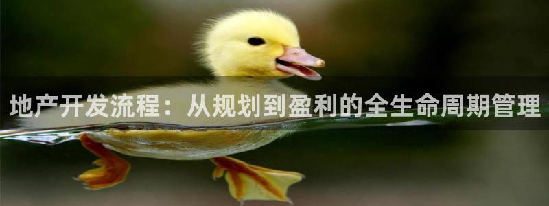 忘了永利集团的网址了