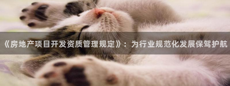 永利是做什么的