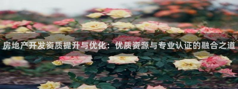 永利官网可信吗