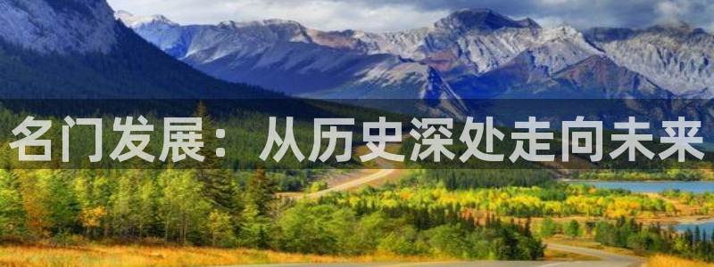 永利股份公告