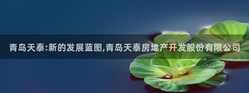 永利提不了款怎么办
