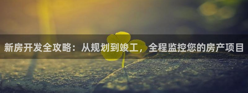 永利皮带型号说明书图片