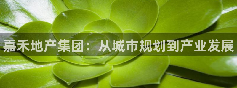 永利输送带