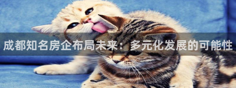 永利打不开