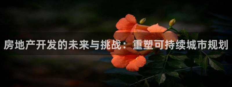永利黄府黄立青信鸽图片