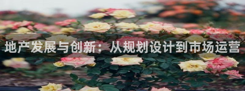 永利积分卡的级别